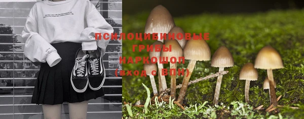 соль курить ск Медногорск