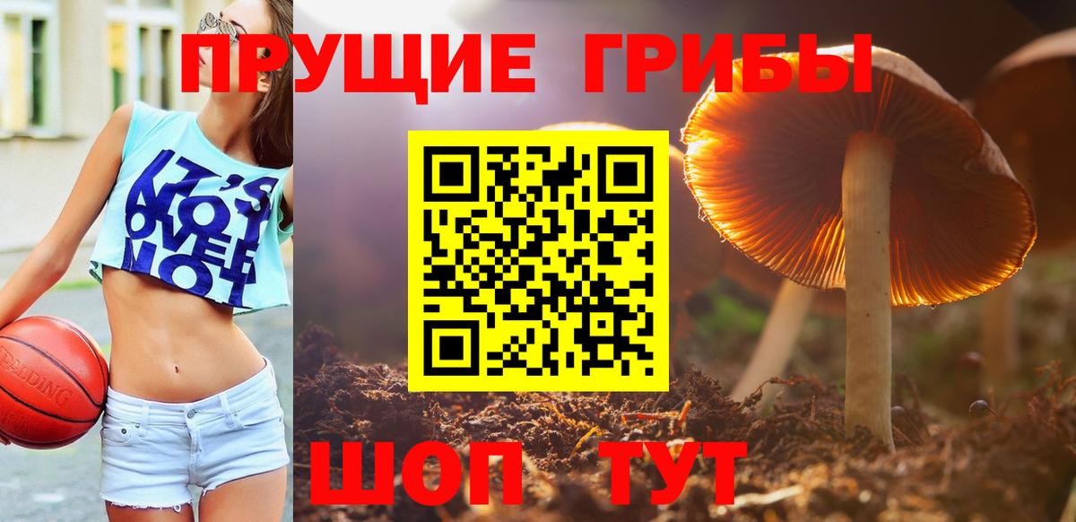 Псилоцибиновые грибы ЛСД Ковров